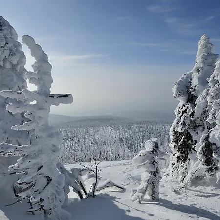 Hotel Zum Friedl 3*