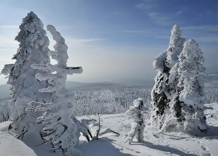 Отель Zum Friedl 3*